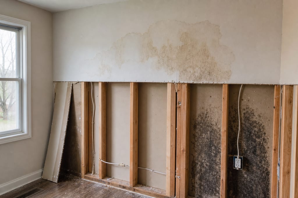 Set up support for larger sections photo